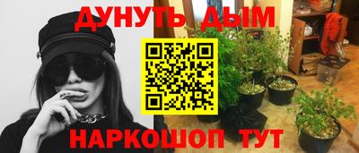 прущие грибы Малоярославец