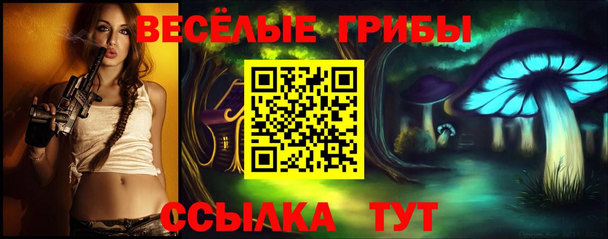 Псилоцибиновые грибы MAGIC MUSHROOMS Вичуга