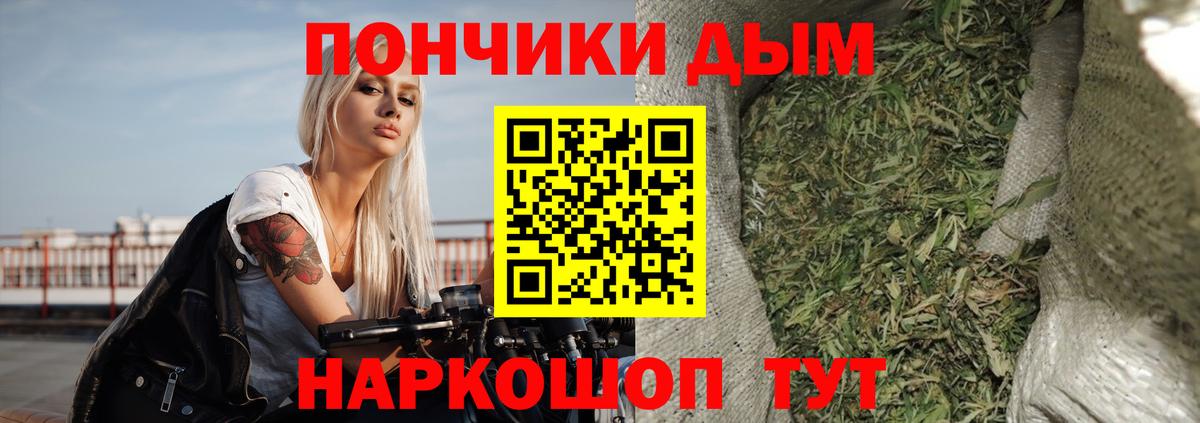 Шишки марихуана конопля Вичуга